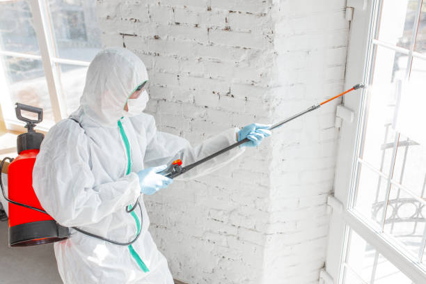 Mold Documentation for Insurance Claims in Norwalk, CA